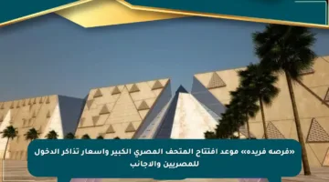 «فرصة فريدة» موعد افتتاح المتحف المصري الكبير وأسعار تذاكر الدخول للمصريين والأجانب